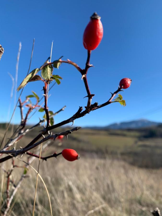 Apartmán Atico Con Encanto En Bellver De Cerdanya Exteriér fotografie